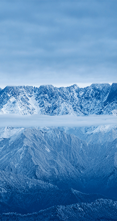 关于cq9电子游戏